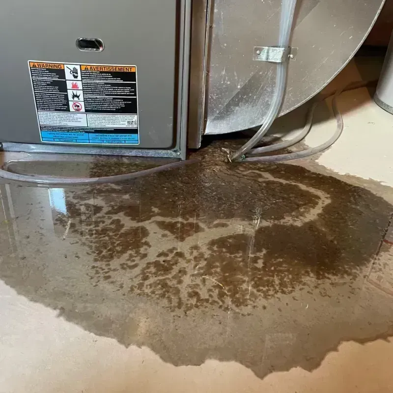 Appliance Leak Cleanup in Hernando Beach, FL